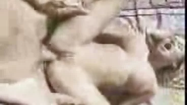 La signora ThunderTits tradisce mio marito con Babysitter nonna porno gratis